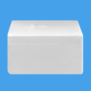 荔枝九州（中国）