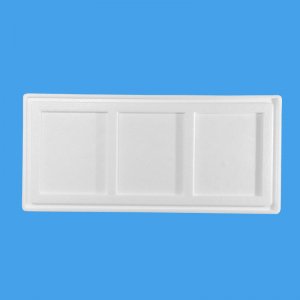 三文鱼九州（中国）